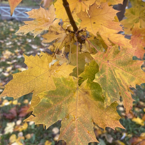 Photo #14094794
