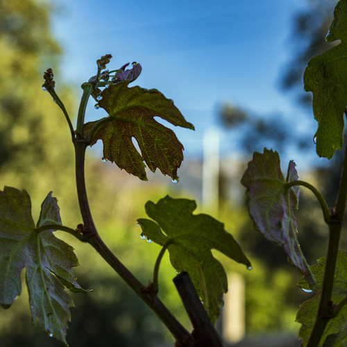 Photo #14094853