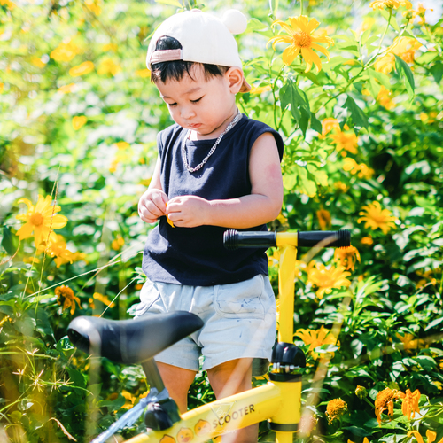 Photo #14094854