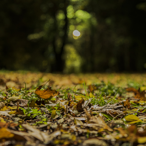 Photo #14094859