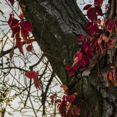 Photo #14094861