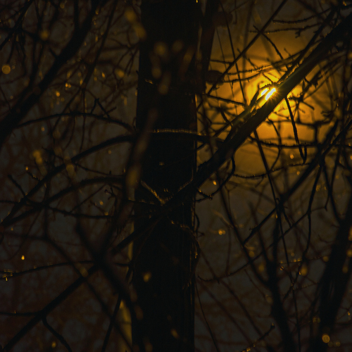 Photo #14094872
