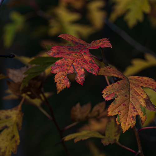 Photo #14094876