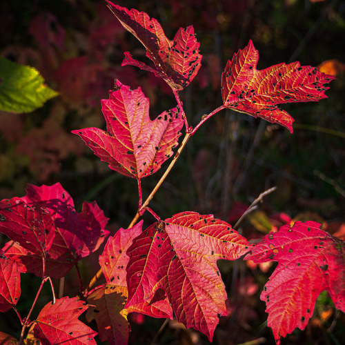 Photo #14094879