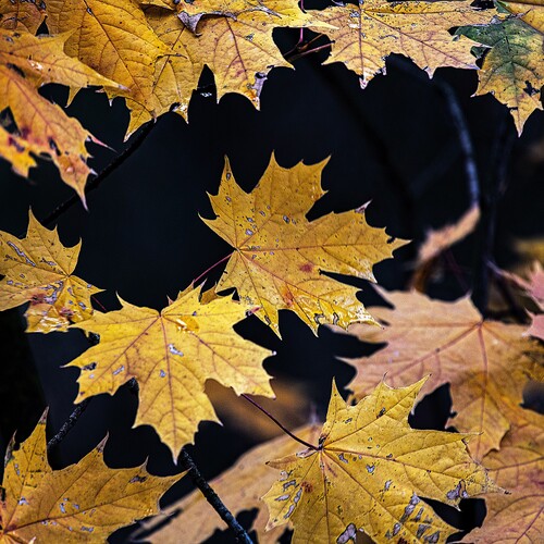Photo #14094893