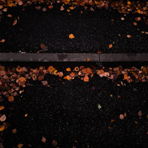 Photo #14094910