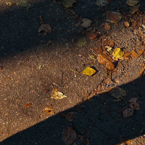Photo #14094913