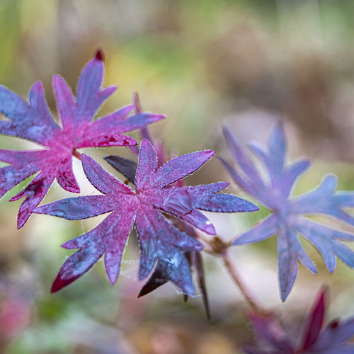 Photo #14094952