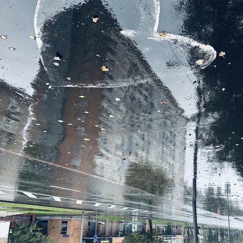 Photo #14094973