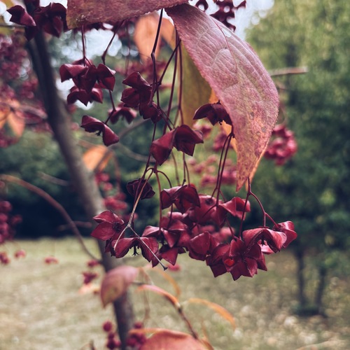 Photo #14094981