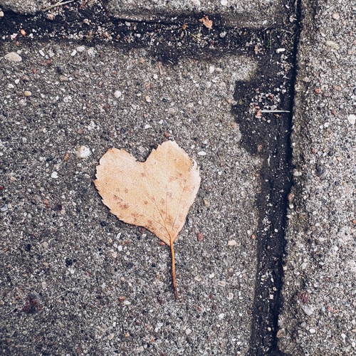 Photo #14094982