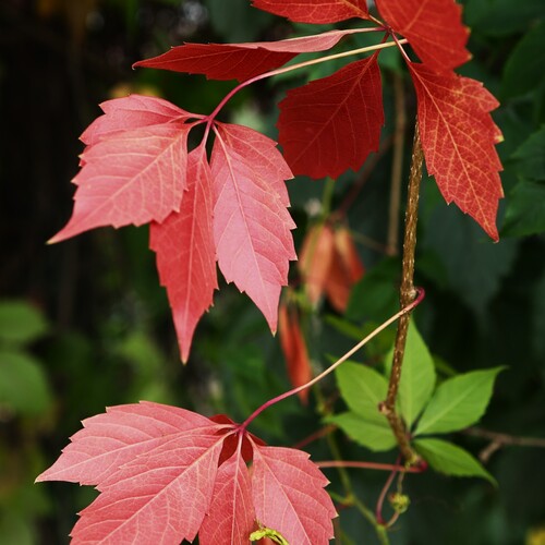 Photo #14094984