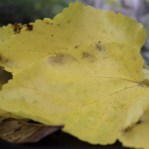 Photo #14094995