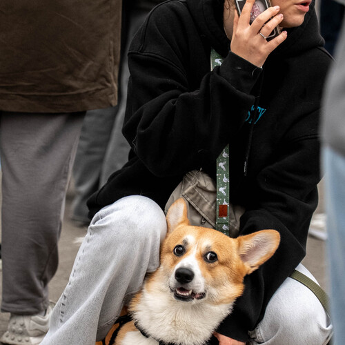 Photo #14095017