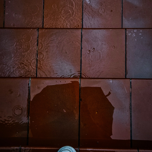 Photo #14095023