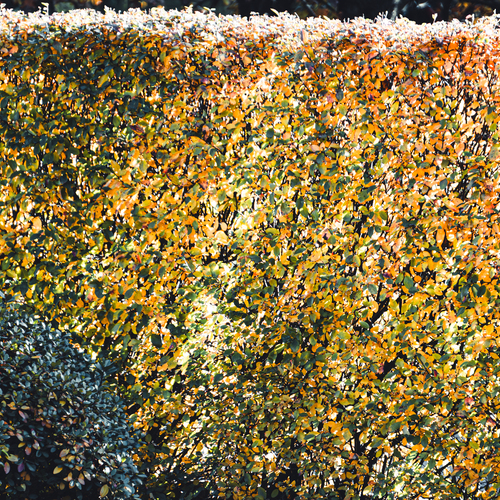 Photo #14095025