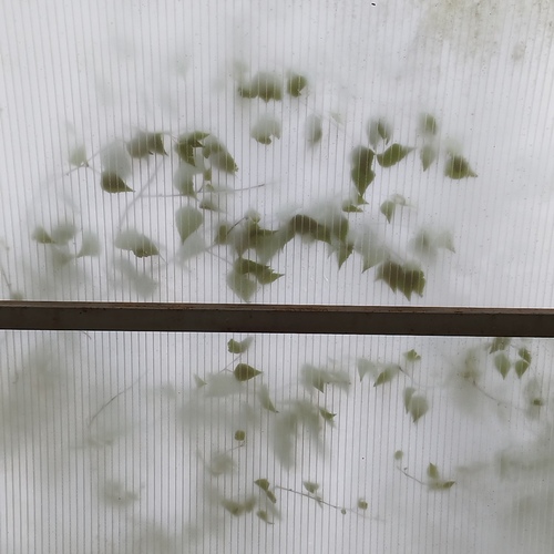 Photo #14095032