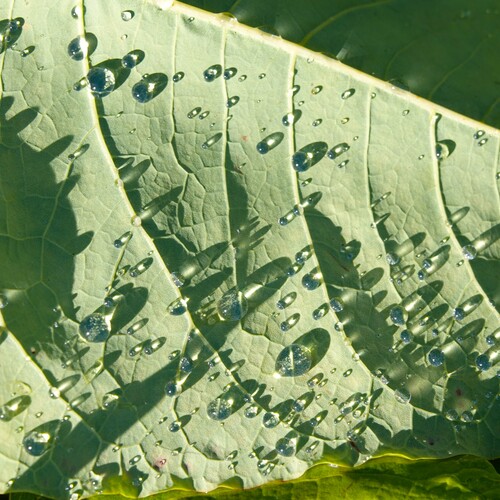 Photo #14095081