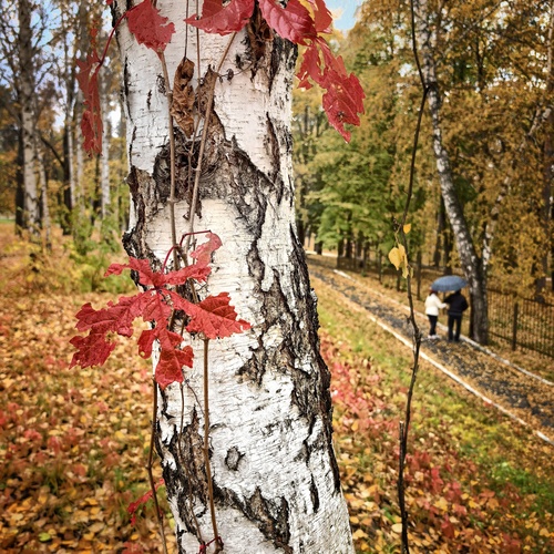 Photo #14095091