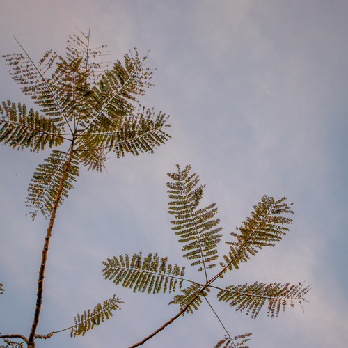 Photo #14095140