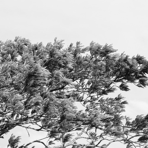 Photo #14095142