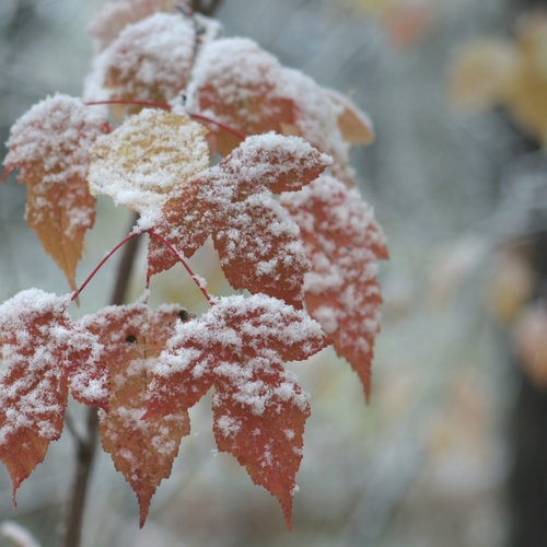 Photo #14095206