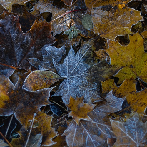 Photo #14095223