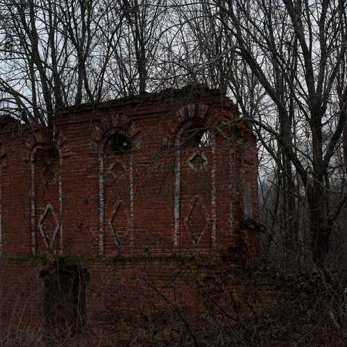 Photo #14095359