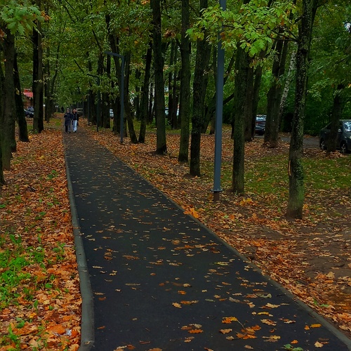 Photo #14095380