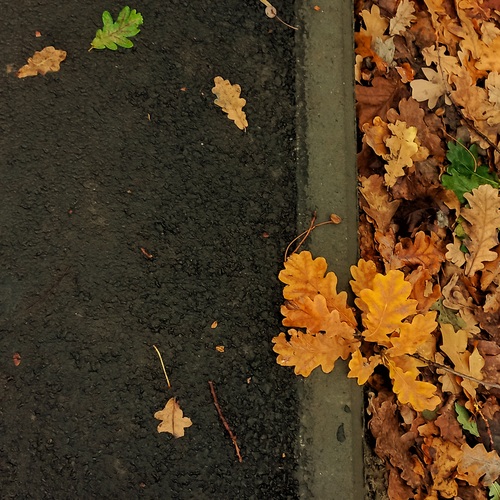 Photo #14095381