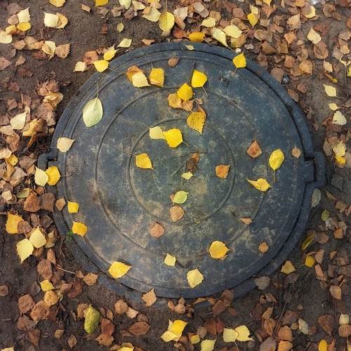Photo #14095382