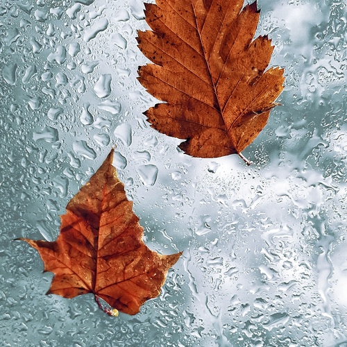 Photo #14095419
