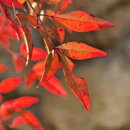 Photo #14095435
