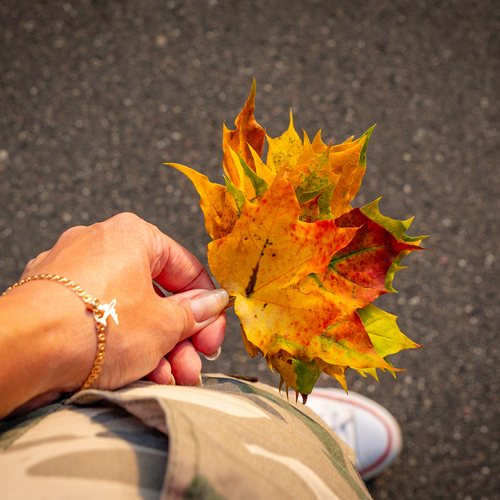 Photo #14095440