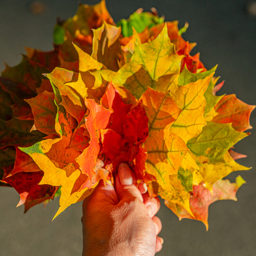 Photo #14095442