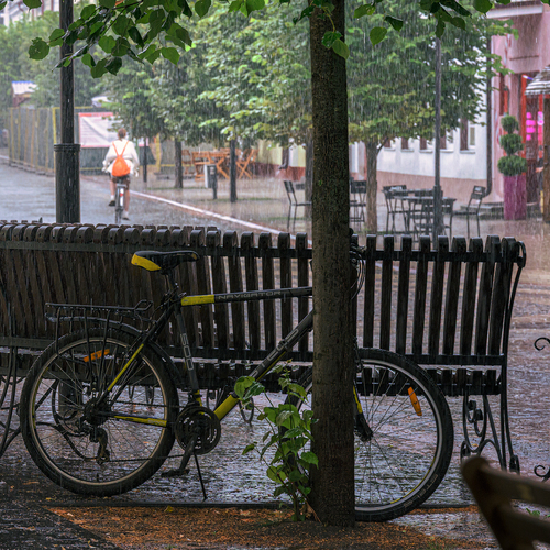 Photo #14095451