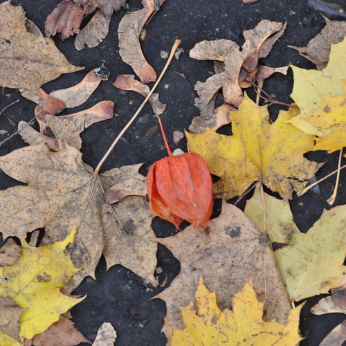 Photo #14095543