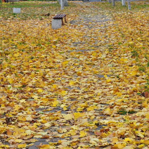 Photo #14095544