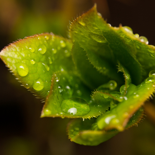 Photo #14095584
