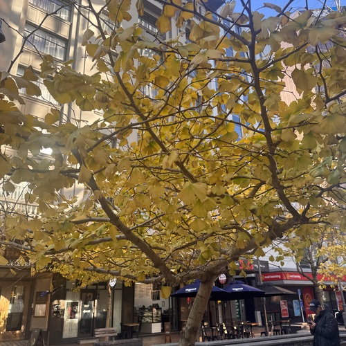 Photo #14095592