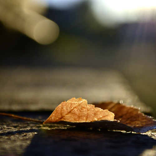 Photo #14095595