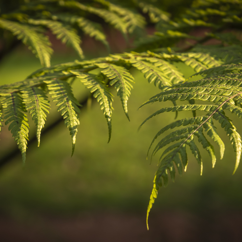 Photo #14095638