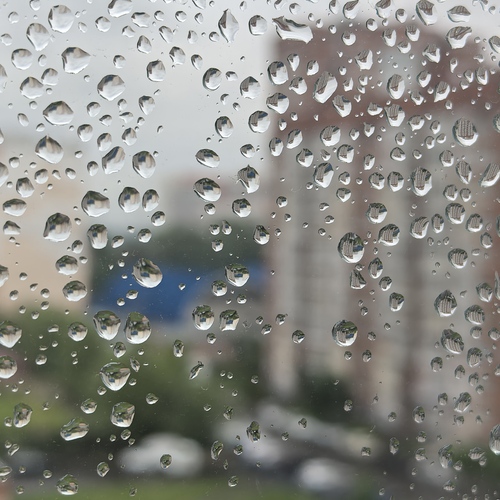 Photo #14095660