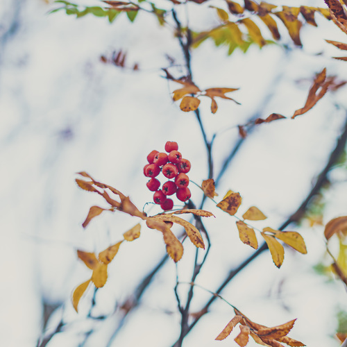 Photo #14095667