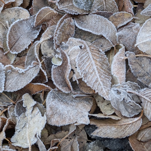 Photo #14095679