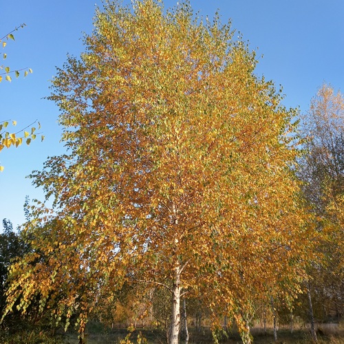 Photo #14095682