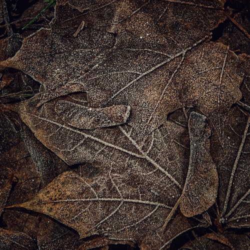 Photo #14095708