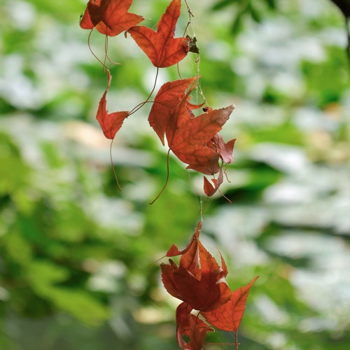 Photo #14095709