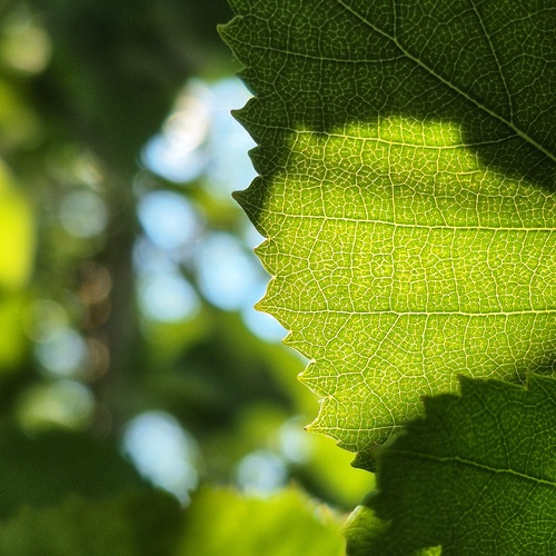 Photo #14095736
