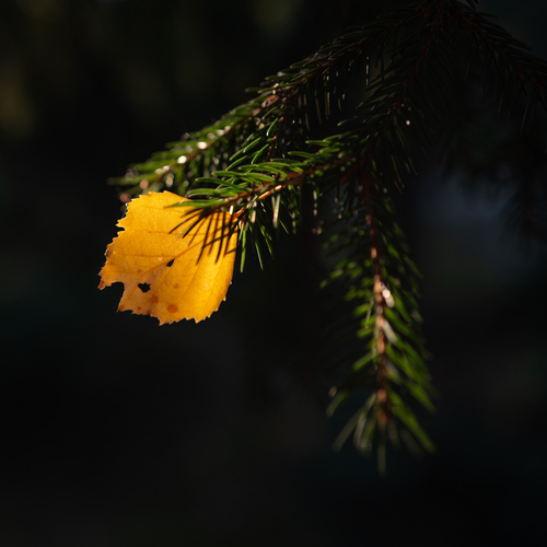 Photo #14095883